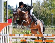 Sacchi Hey Day GioCav2013 S5 3213 : Campionati Italiani Giovani Cavalli, Cattolica, Hey Day Hopper, Sacchi Stefano, ph Stefano Secchi ©